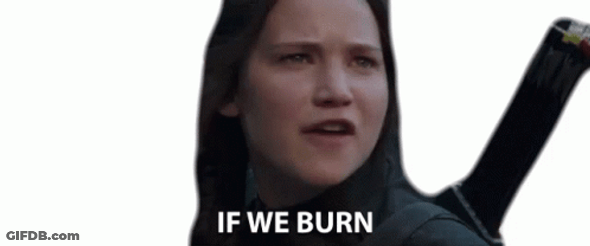 Katniss Everdeen You Burn GIF