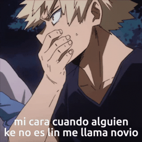 Katsuki Bakugou Speechless Covering Mouth GIF