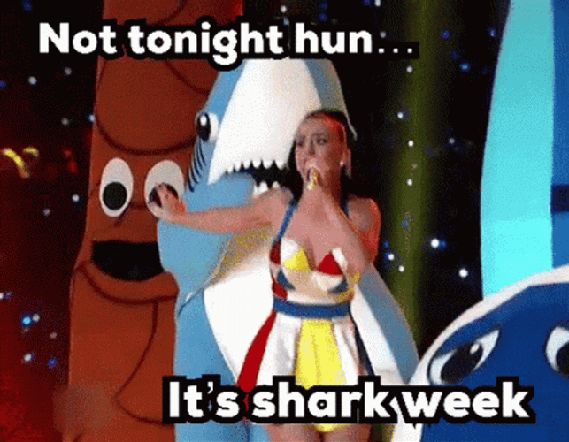 Katy Perry On Shark Week GIF