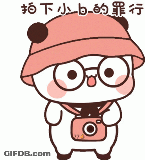 Kawaii Carton Taking Picture GIF