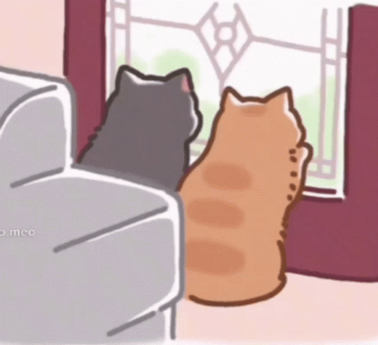 Kawaii Cat Couple Staring GIF