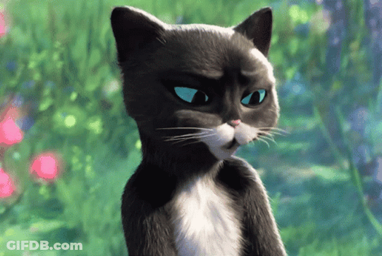 Kawaii Cat In Boots Softpaws GIF