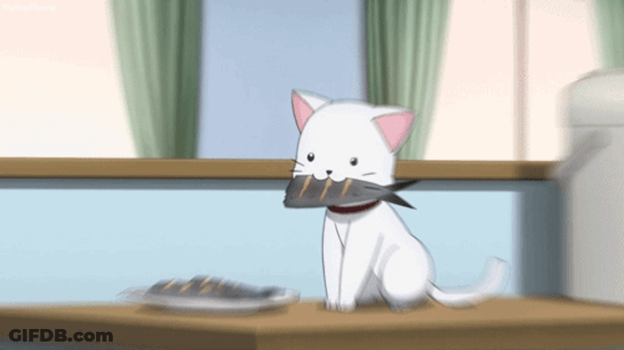 Kawaii Cat Lunch Time GIF