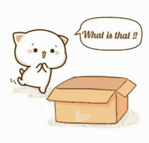 Kawaii Cat Peach Hiding GIF