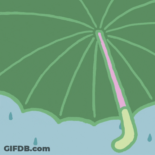 Kawaii White Cat With Umbrella GIF