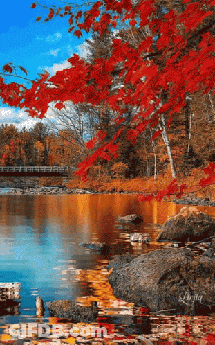 Kayak On Dock Next To Chairs GIF