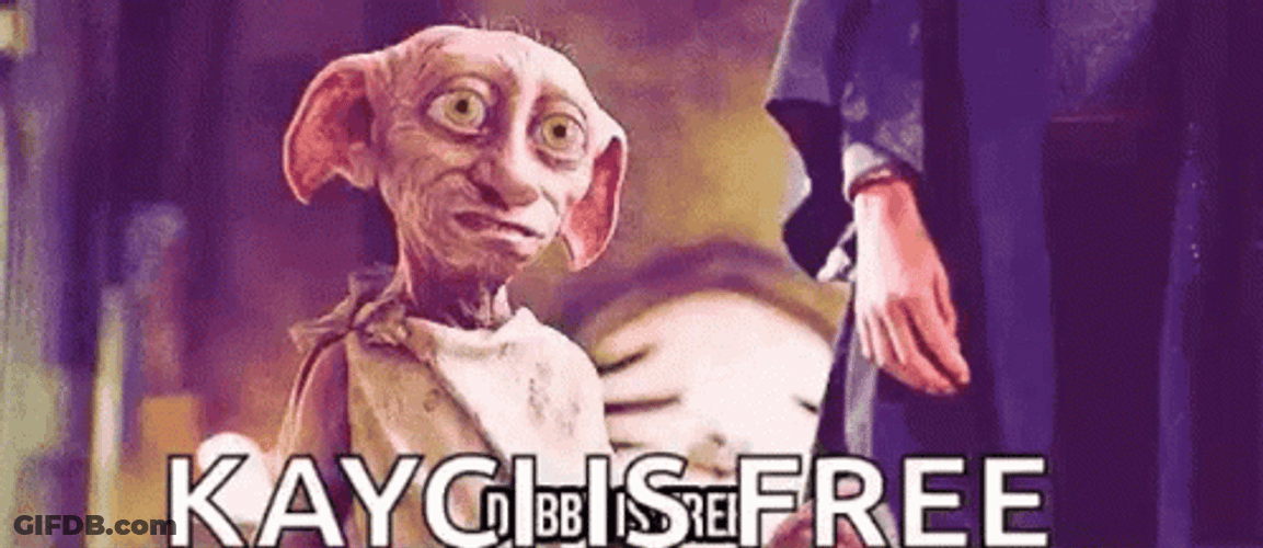 Kayci And Dobby Is Free GIF