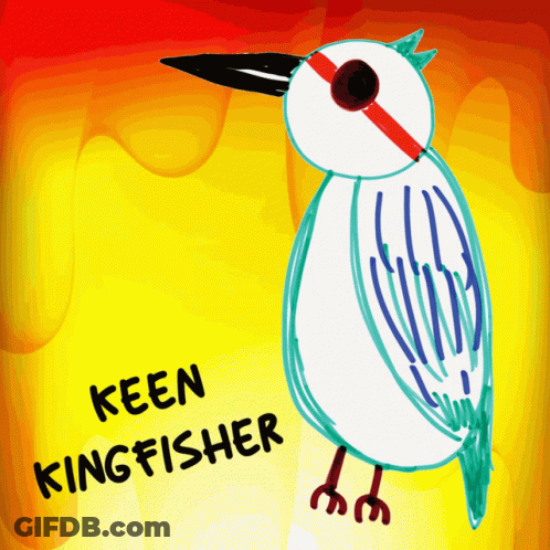 Keen Kingfisher Bird GIF