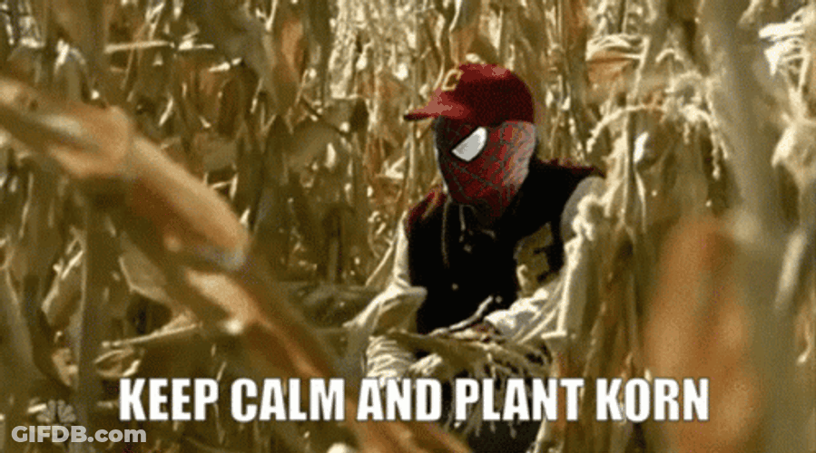 Keep Calm And Plant Korn GIF