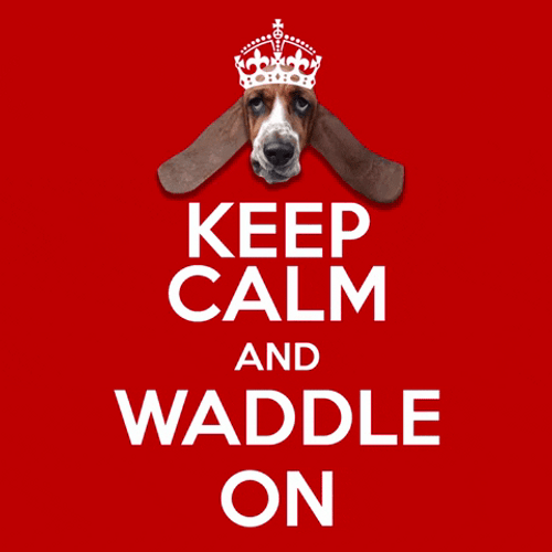 Keep Calm Dog Waddles On GIF