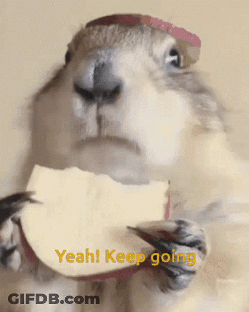 Keep Going Hamster Eating Apple GIF