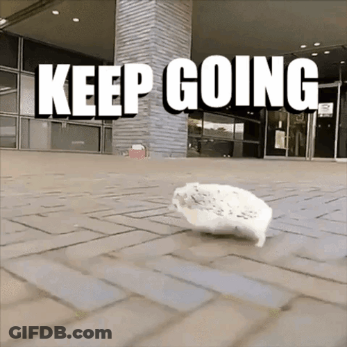 Keep Going Hedgehog GIF