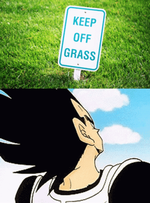 Keep Off Grass Vegeta GIF
