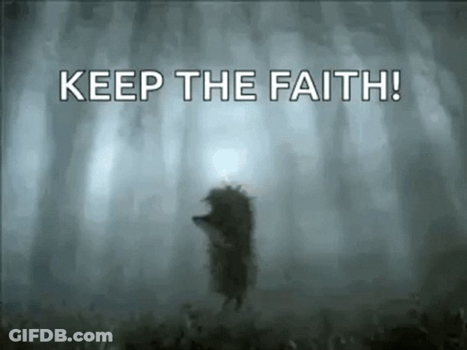 Keep The Faith Hedgehog Fog GIF