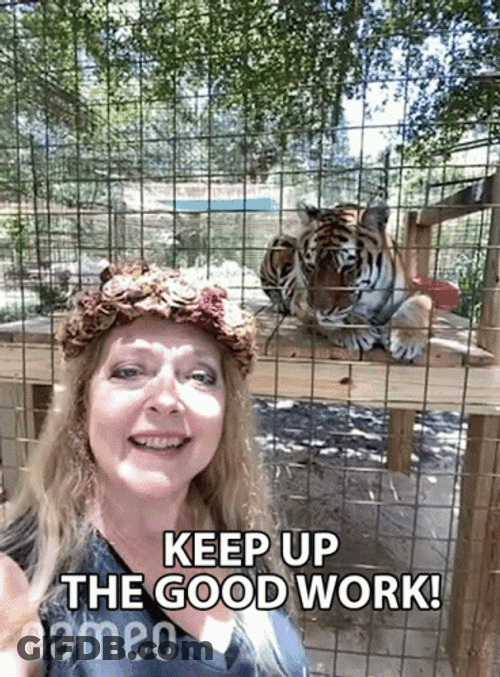Keep Up The Great Work Zoo Tiger GIF
