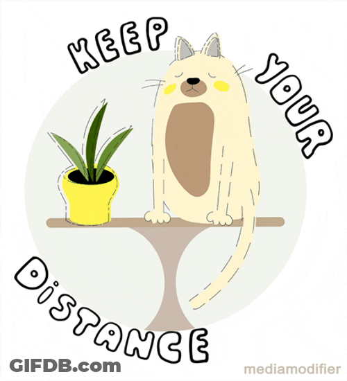 Keep Your Distance With Cute Cat Animated GIF