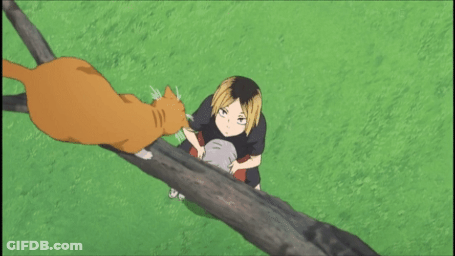 Kenma Save Cat Tree GIF