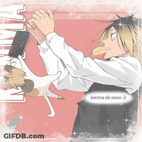 Kenma With Cat And Name GIF