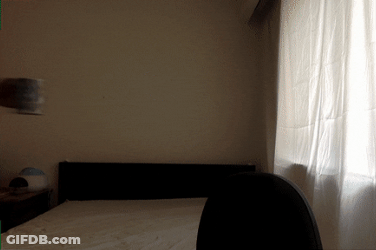 Kento Matsunami Video Call GIF