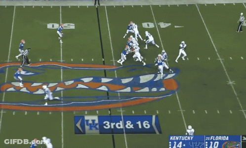 Kentucky And Florida Are Playing A Football Game GIF