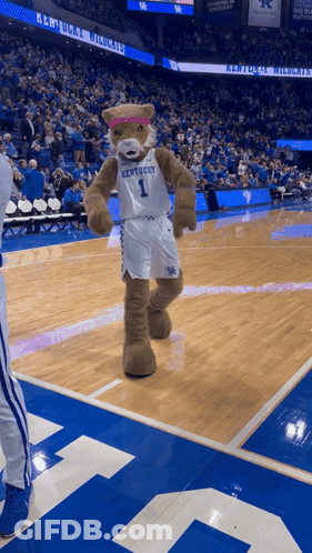 Kentucky Mascot In Pink Headband Dancing On Basketball Court GIF