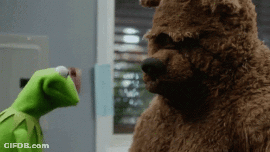 Kermit And Bobo The Bear GIF