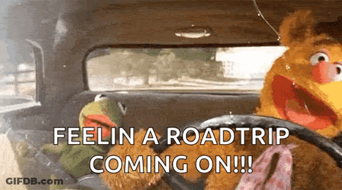 Kermit And Fozzie Driving Car GIF