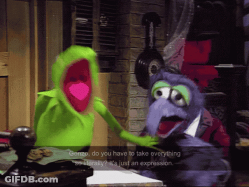 Kermit And Gonzo Talking GIF
