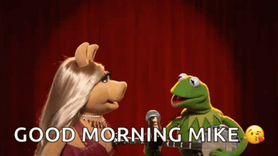 Kermit Dancing And Guitar On Stage With Mike GIF