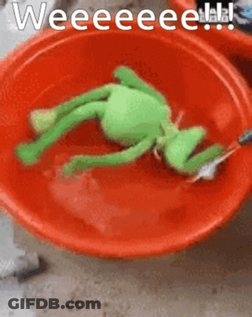 Kermit Dancing In Bowl Of Water GIF