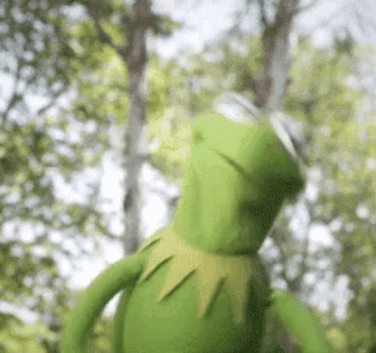 Kermit Dancing In The Forest GIF
