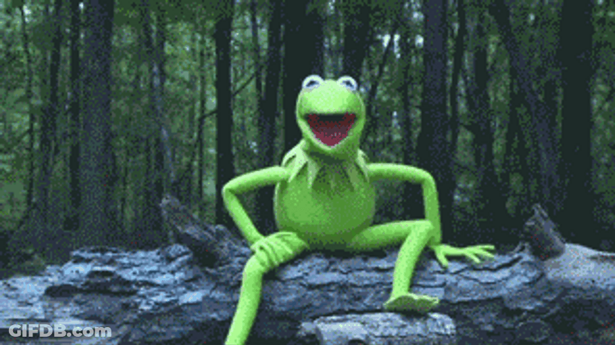 Kermit Doused With Water Falling Meme GIF