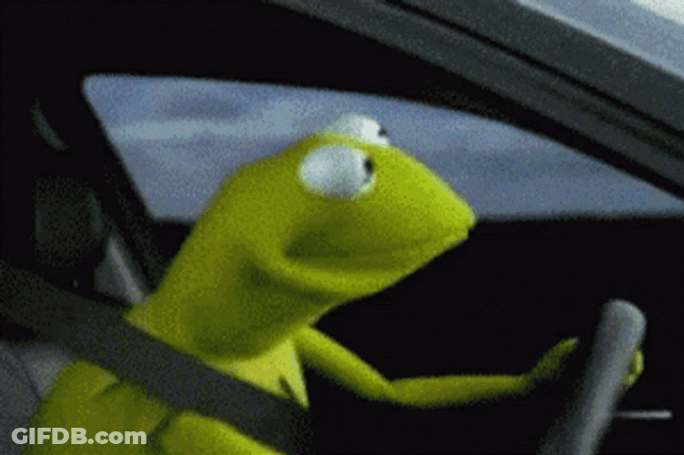 Kermit Frog 50 Cent Meme GIF
