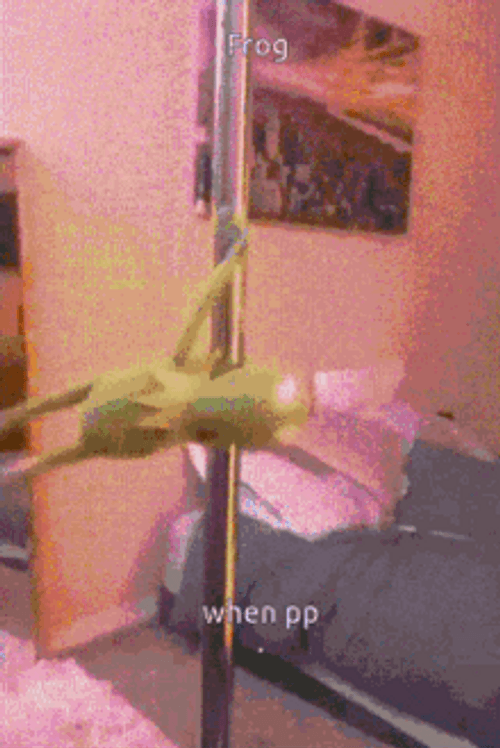 Kermit Frog Pole Dancing GIF