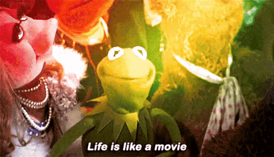 Kermit Life Is Like A Movie GIF
