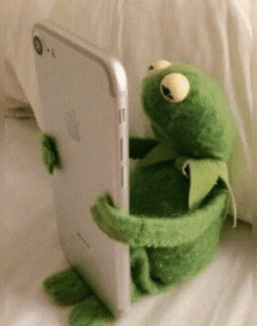 Kermit Love Phone GIF