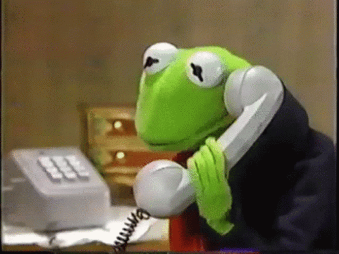 Kermit On The Phone GIF