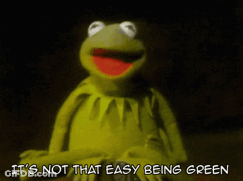 Kermit Saying It's Not Easy Being Green In Dark Room GIF