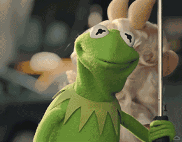 Kermit Shrug I Don't Know GIF