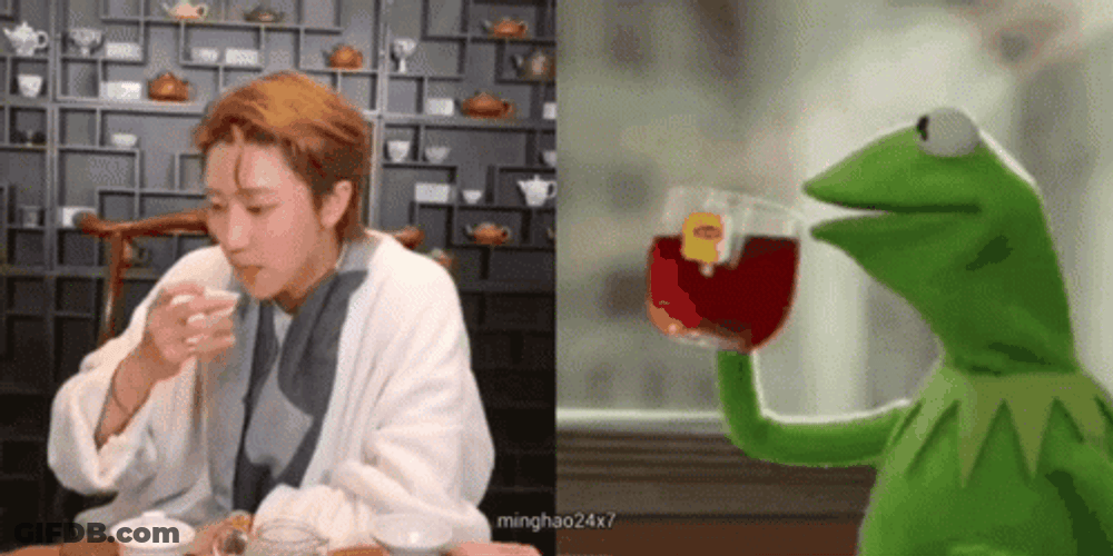 Kermit Tea And Seventeen The 8 Kpop GIF