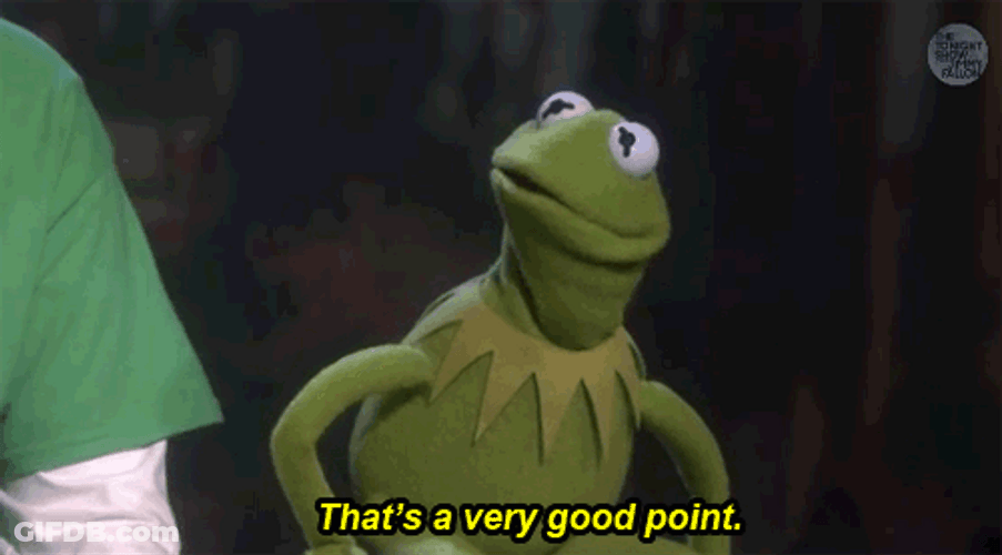 Kermit That's A Very Good Point GIF