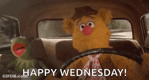 Kermit The Frog And Fozzie Bear Are Driving A Car And Saying Happy Wednesday . GIF