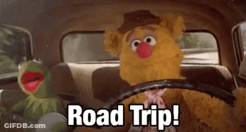 Kermit The Frog And Fozzie Bear Are Driving A Car And Saying `` Road Trip ! '' GIF