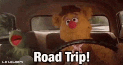 Kermit The Frog And Fozzie Bear Are Sitting In The Back Seat Of A Car And They Are Going On A Road Trip . GIF