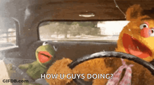 Kermit The Frog And Fozzie Bear Asking How U Guys Doing GIF