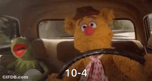 Kermit The Frog And Fozzie Bear Driving GIF