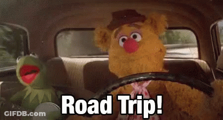 Kermit The Frog And Fozzie Bear From The Muppets Are Driving A Car And Saying Road Trip . GIF