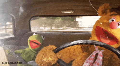 Kermit The Frog And Fozzie Bear In Car GIF