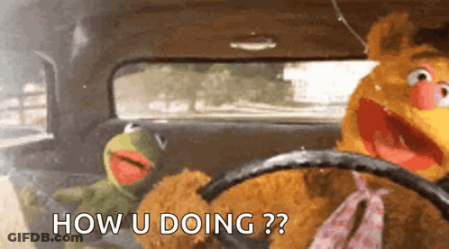 Kermit The Frog And Fozzie Bear In Car Saying How U Doing GIF