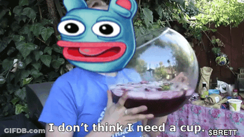 Kermit The Frog And Girl I Can Fix Him GIF